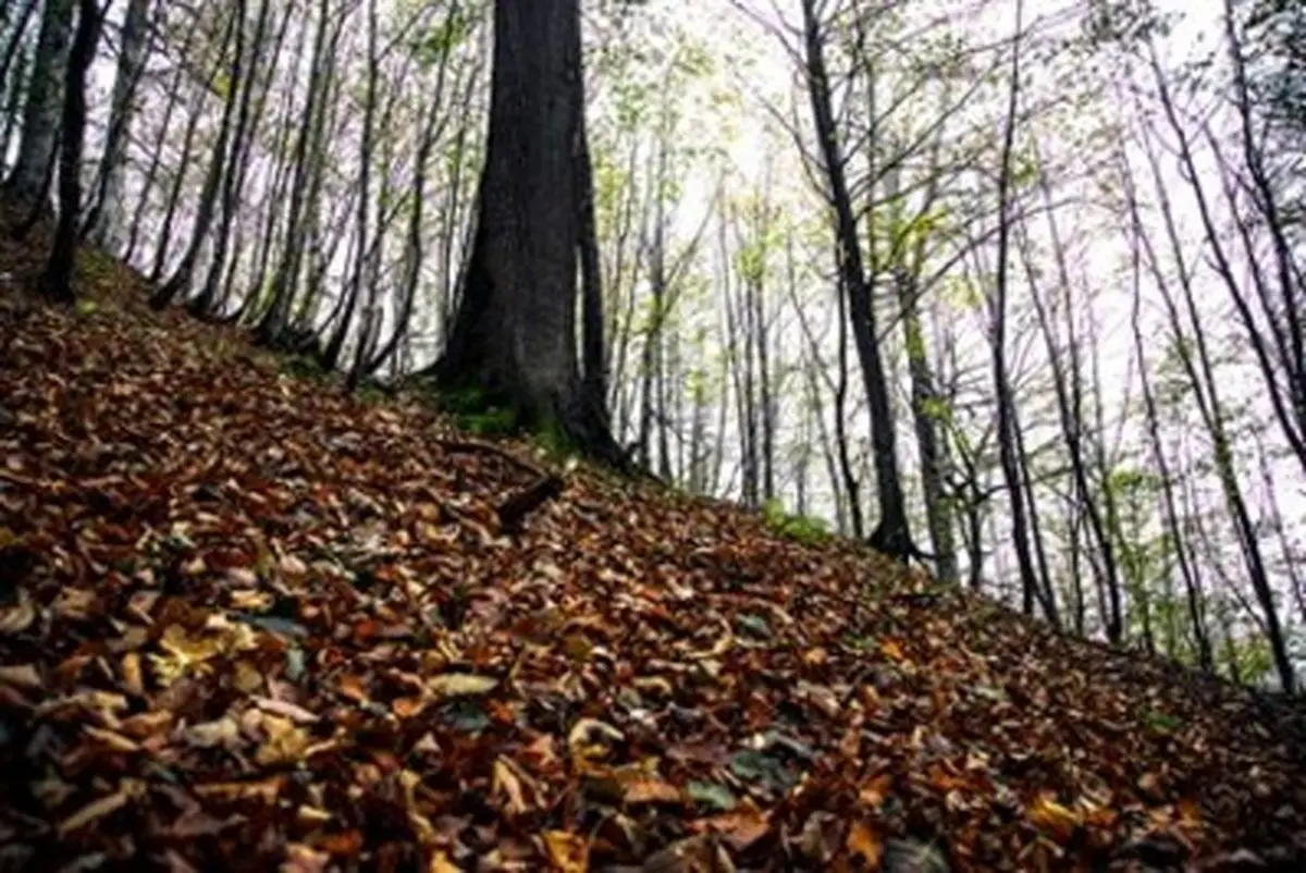 تصاویر/ خلخال؛ تاج طبیعت ایران