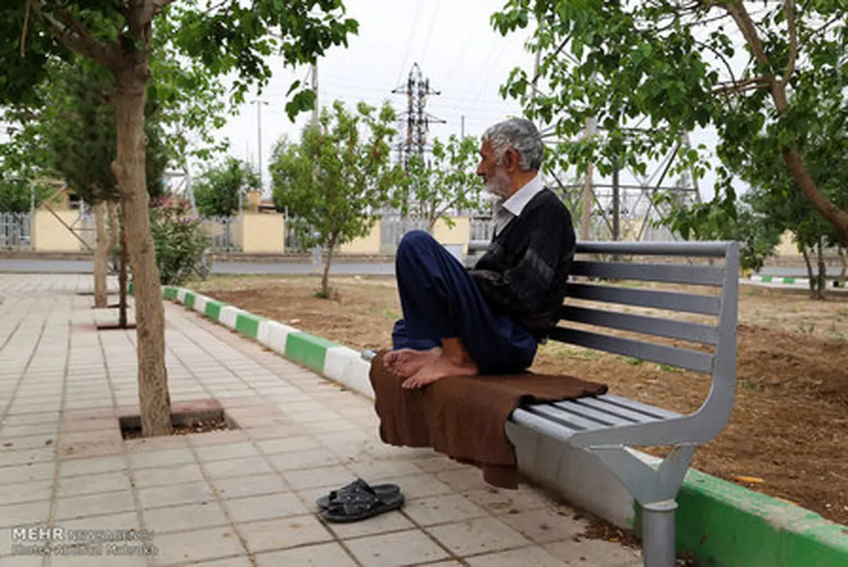 زندگی زیر دکل های برق فشار قوی/ عکس