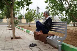 زندگی زیر دکل های برق فشار قوی/ عکس