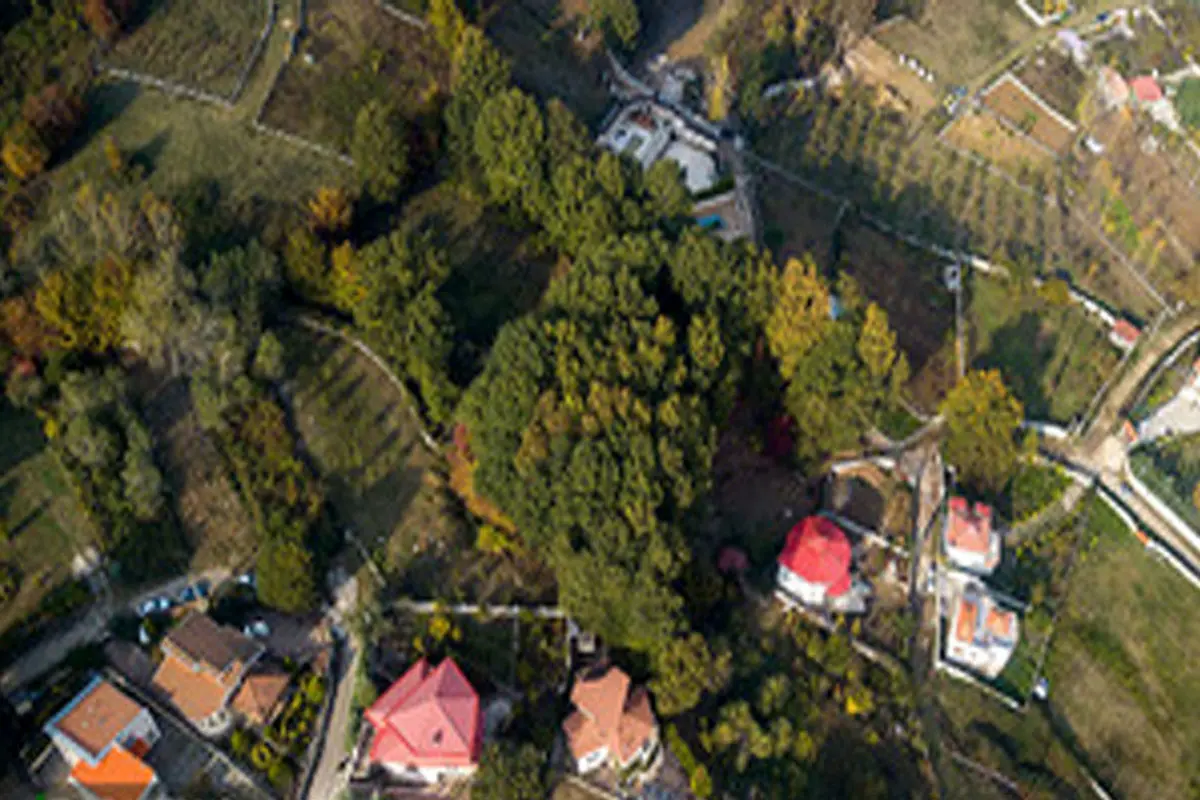 گزارش تصویری :جنگل‌های شکتا اسیر زمین خواران شد