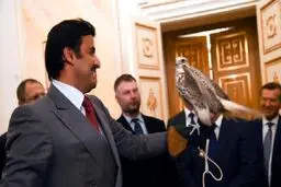 یک شاهین، هدیه پوتین به امیر قطر+عکس