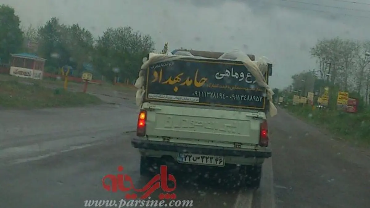 مرع و ماهی حامد بهداد!