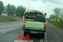 مرع و ماهی حامد بهداد!