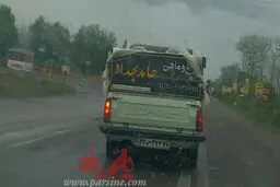 مرع و ماهی حامد بهداد!
