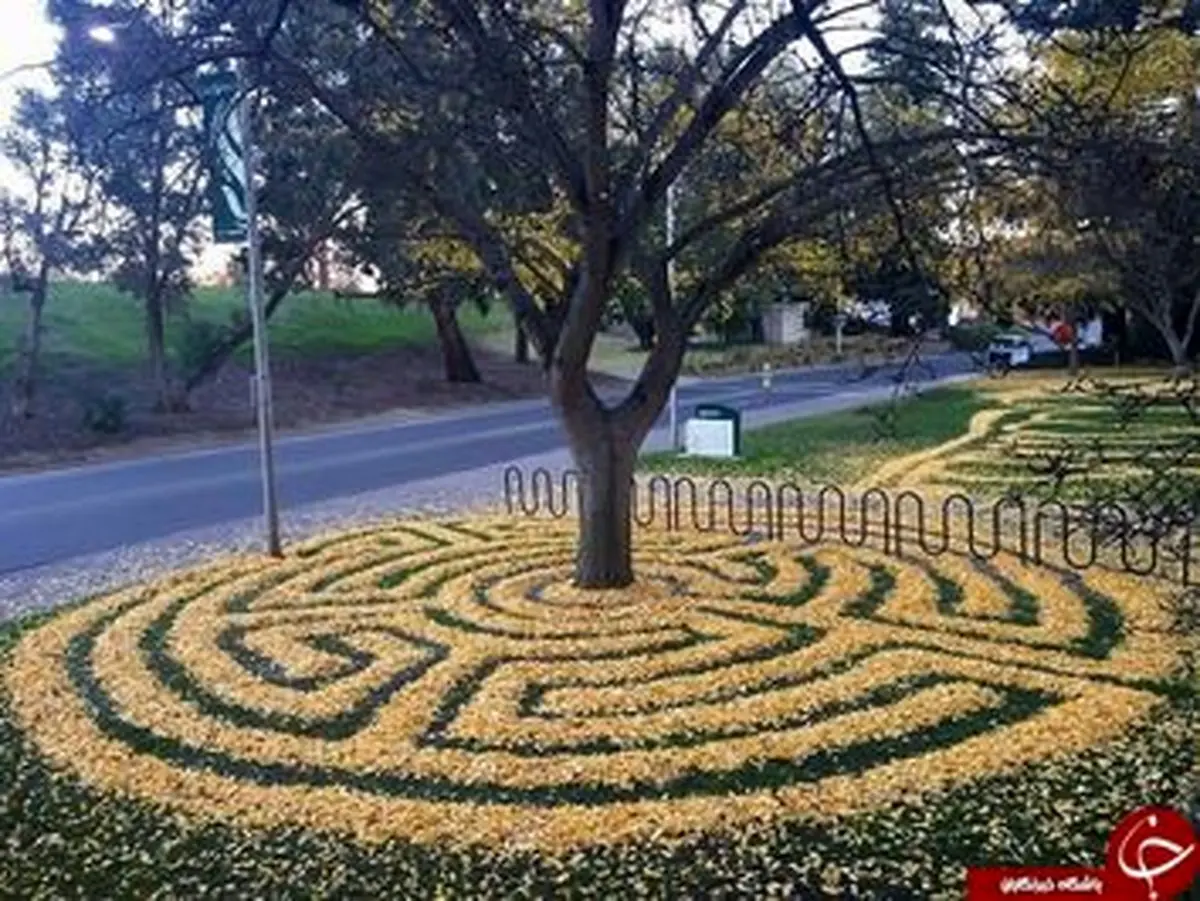 تصاویری از طراحی بی‌نظیر برگ‌های پاییزی