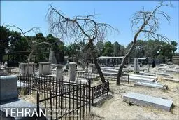 تصاویر/ بهشتیه؛ گورستان تاریخی کلیمیان در تهران