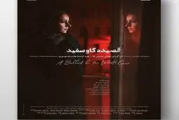 رونمایی از پوستر قصیده گاو سپید