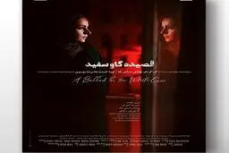 رونمایی از پوستر قصیده گاو سپید
