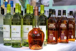 تصاویری از دستگیری اراذل و اوباش و امحای مشروبات الکلی