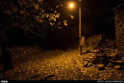 مرگ پیش از پروانگی!/تصاویر