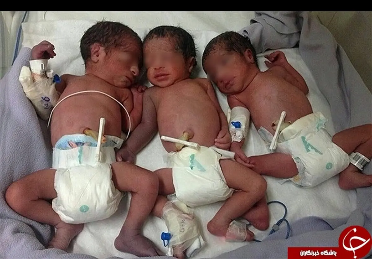 ماجرای گروکشی نوزادان چندقلو در بیمارستان چه بود؟