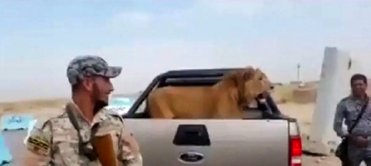 شکار نادر ارتش عراق در نبرد با داعش/ عکس