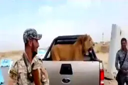 شکار نادر ارتش عراق در نبرد با داعش/ عکس