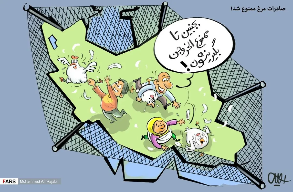 مرغ ها ممنوع الخروج شدند/ کاریکاتور