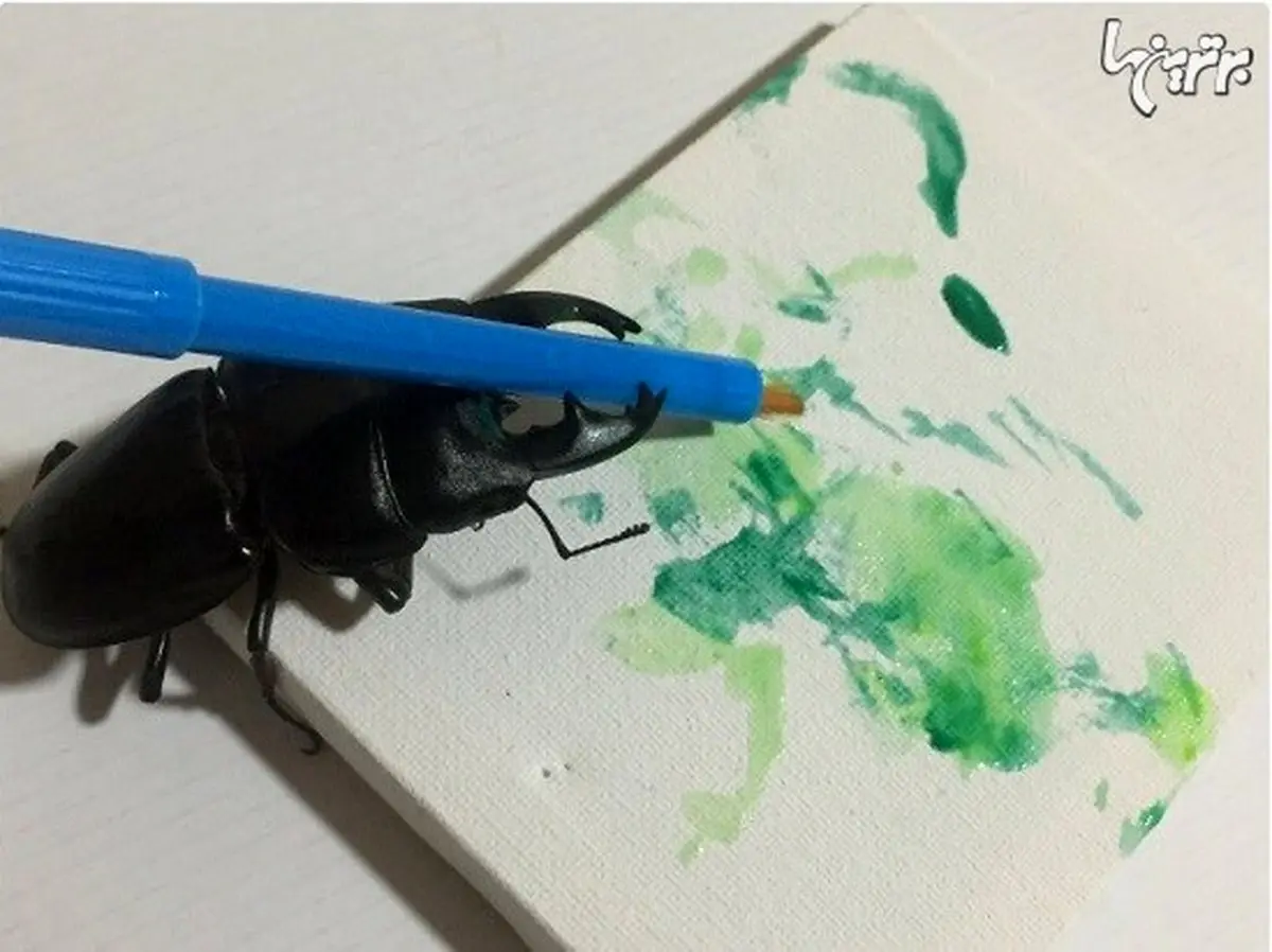 مردی که با چندش آور ترین موجود دنیا زندگی می کند+تصاویر