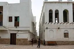 تصاویر زیبا و دل انگیز از بوشهر، نهنگ پیر خلیج فارس‎