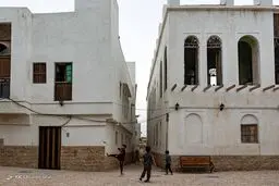 تصاویر زیبا و دل انگیز از بوشهر، نهنگ پیر خلیج فارس‎