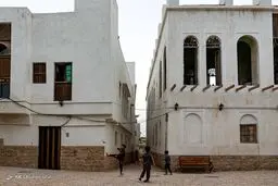 تصاویر زیبا و دل انگیز از بوشهر، نهنگ پیر خلیج فارس‎