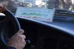 کرایه برای سالمندان رایگان/ عکس