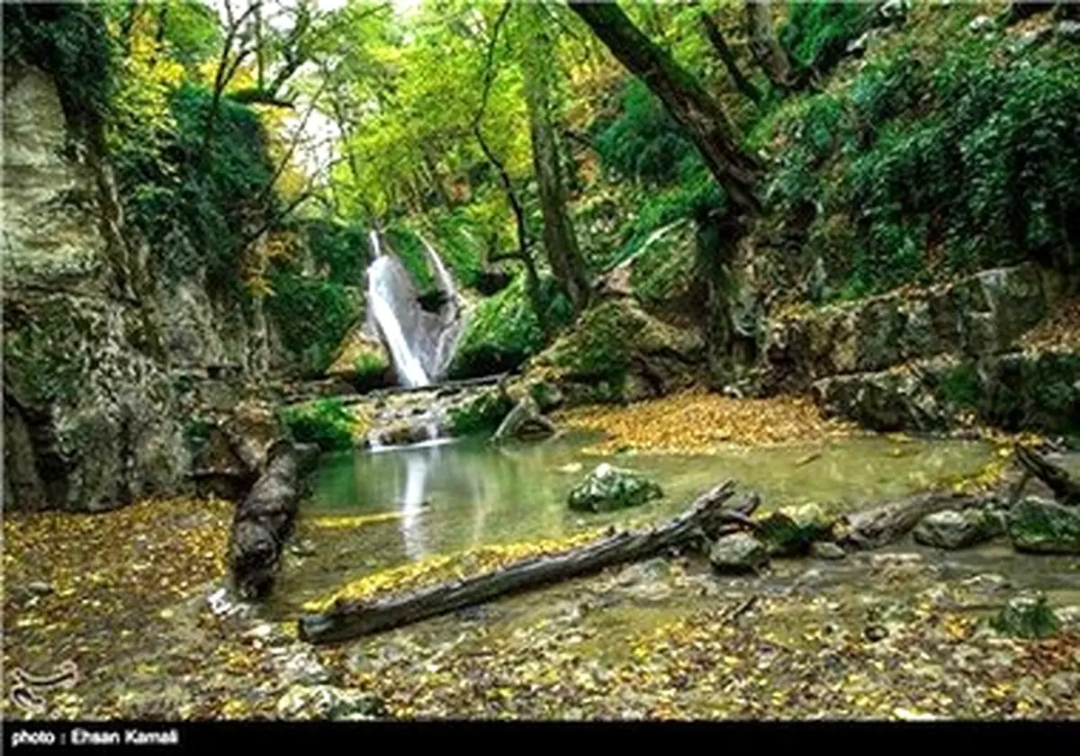 پاییز زیبای ایران/ تصاویر