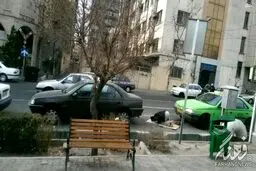 آدم‌های خوب شهر ما/تصویر