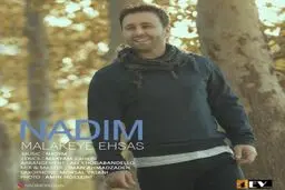 بشنوید: آهنگ جدید ندیم به نام ملکه احساس