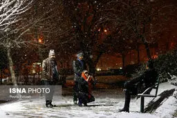 تصاویری زیبا از شب برفی در همدان