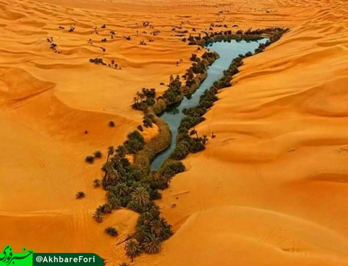 بهشتی در دل جهنم/عکس