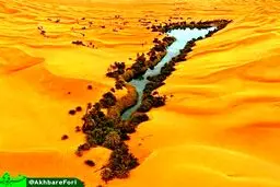 بهشتی در دل جهنم/عکس
