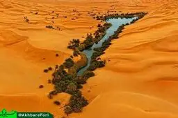 بهشتی در دل جهنم/عکس