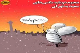 فراخوان مگس‌های سفید برای مهاجرت به تهران!/کاریکاتور