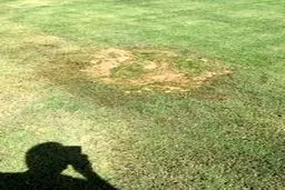 چمن بی کیفیت فینال حذفی/ تصاویر