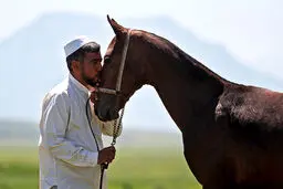 تصاویر/ چهاردهمین جشنواره ملی اسب اصیل ترکمن