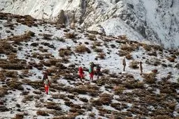 روایت تصویری از دومین روز جستجوی لاشه هواپیما سقوط کرده