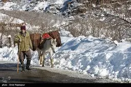 تصاویری زیبا از برف پاییزی در اشکورات