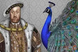 غذاهای سلطنتی در انگلستان / از سر خرس تا سوپ آشیانه پرنده! + عکس