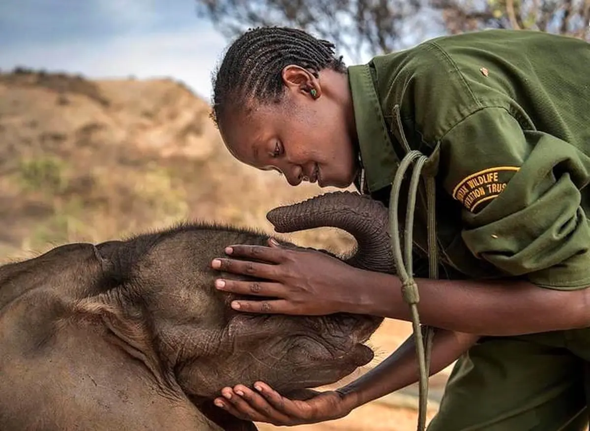 فینالیست‌های یک مسابقه عکاسی فوق زیبا/ تصاویر