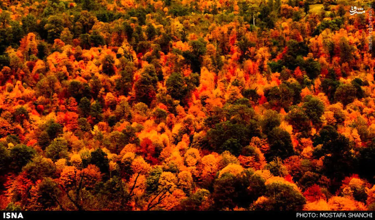 عکس/ طبیعت پاییزی مازندران