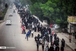 پیاده‌روی زائران از کربلا به نجف / تصاویر