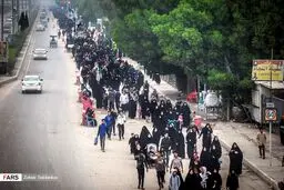 پیاده‌روی زائران از کربلا به نجف / تصاویر