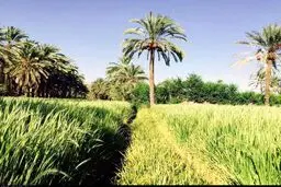 تصاویری از روستای زیبای ناهوک شهرستان سراوان