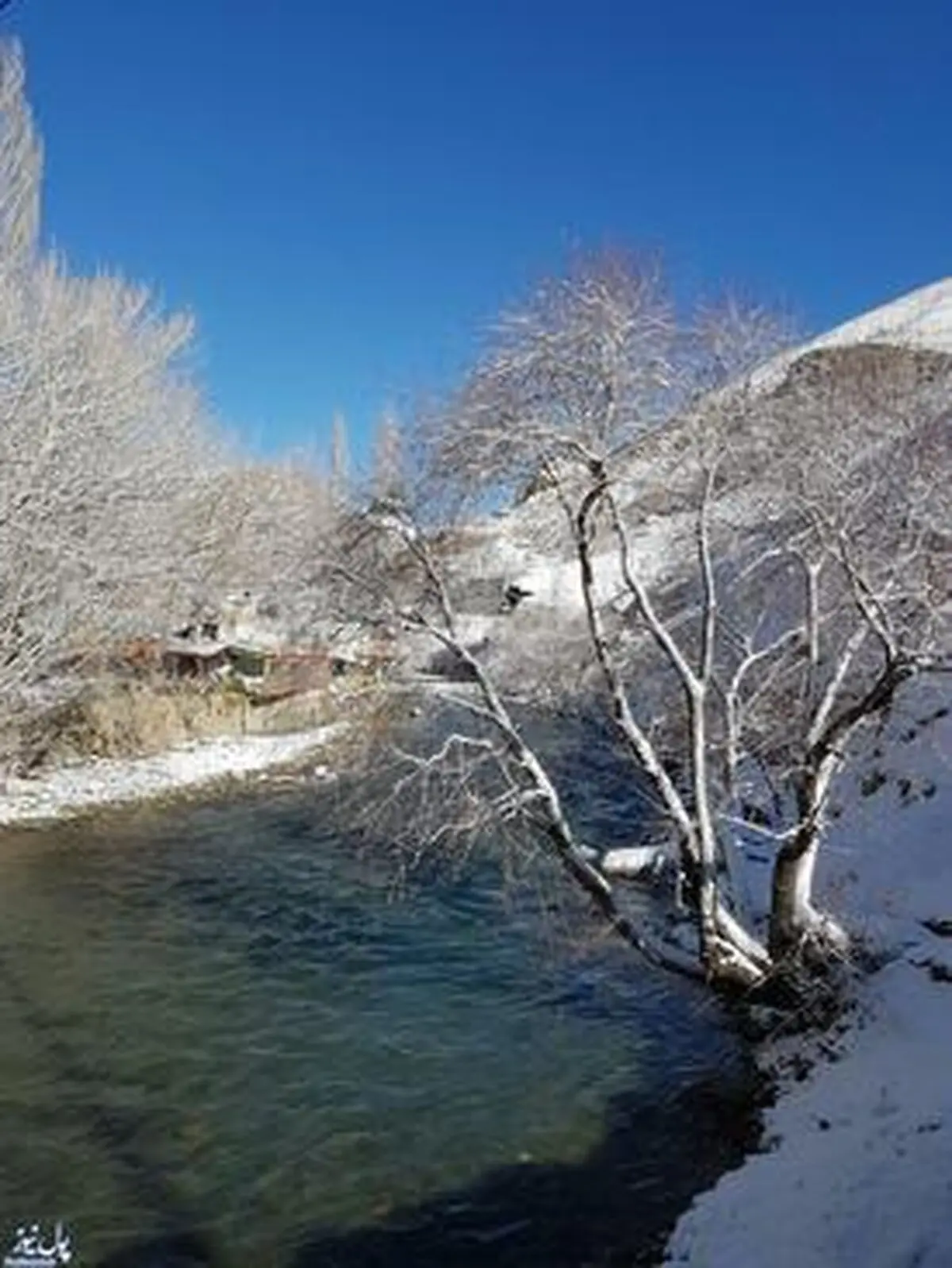 یک روز برفی در روستاهای جاده کرج - چالوس (عکس)