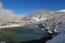 یک روز برفی در روستاهای جاده کرج - چالوس (عکس)