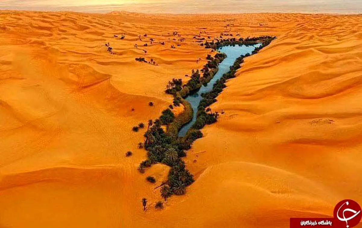 گوشه ای از بهشت در دل جهنم +تصاویر