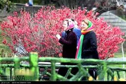 عکس/ گردشگران نوروزی در پایتخت
