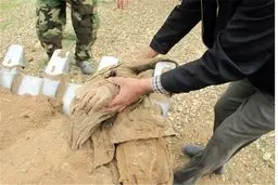 تفحص شهید با بدن کاملا سالم/عکس