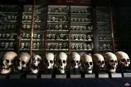 موزه جمجه‌ها در اسکاتلند/عکس