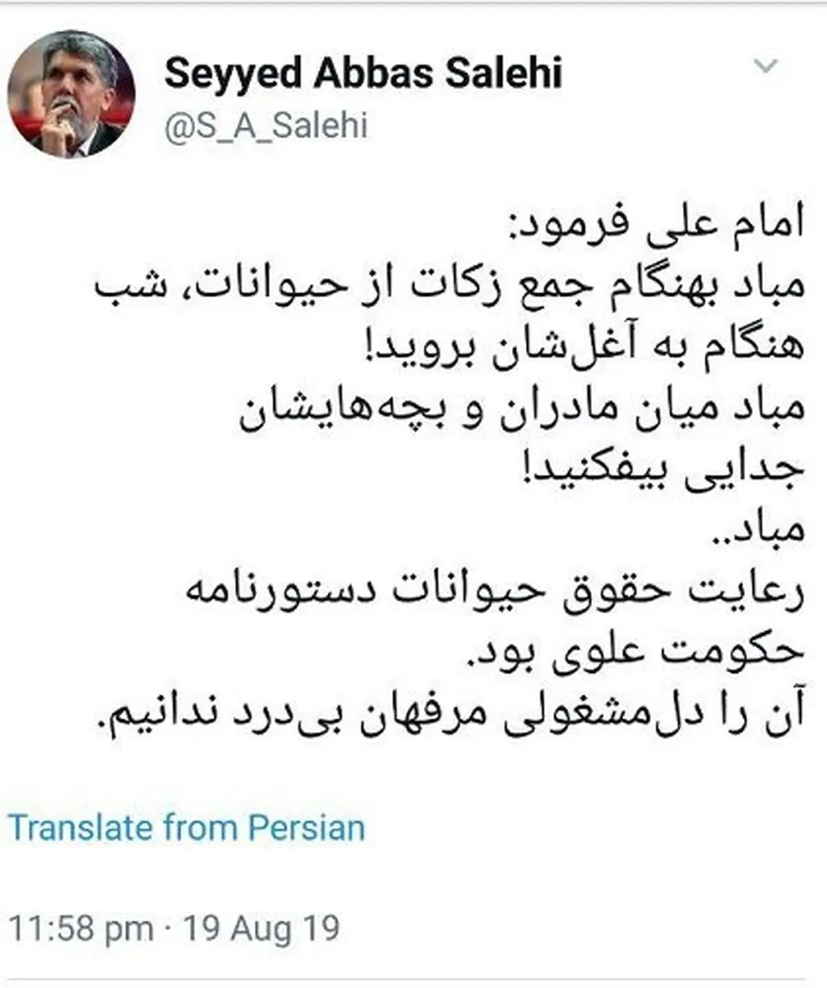 واکنش توییتری وزیر ارشاد به سگ کشی + عکس