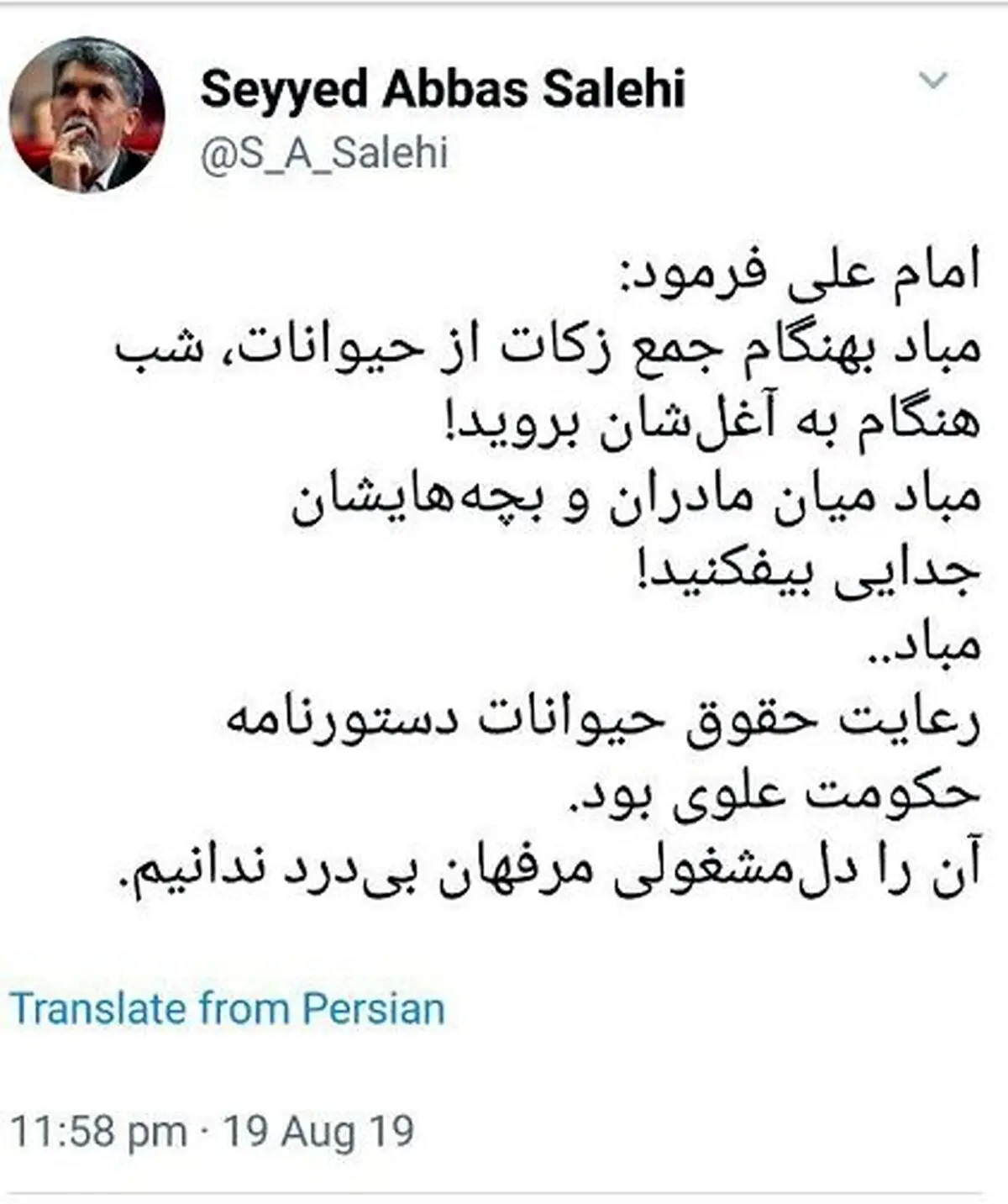 واکنش توییتری وزیر ارشاد به سگ کشی + عکس