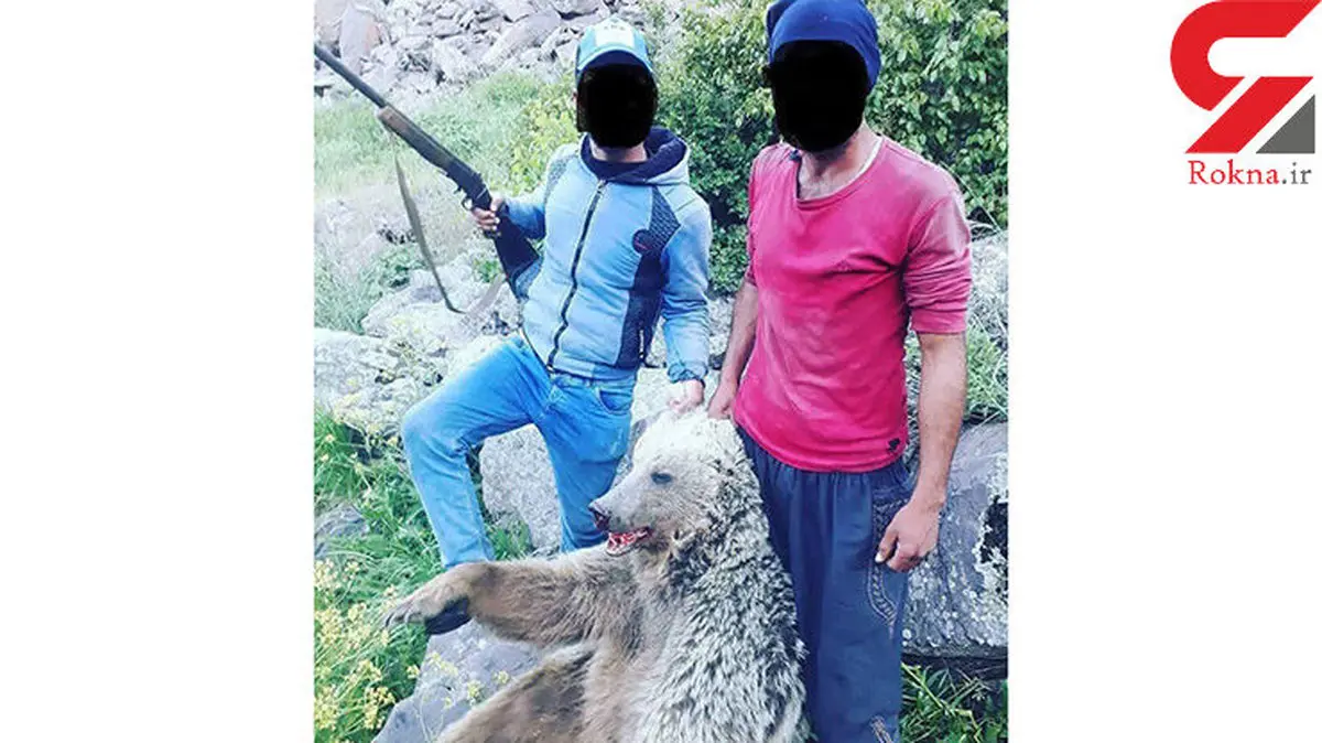 تصویری دردناک از کشتار وحشیانه خرس آذربایجان غربی / عوامل بازداشت هستند